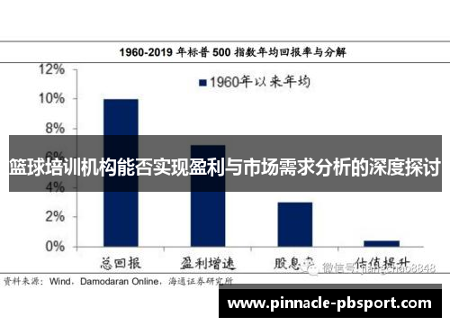 篮球培训机构能否实现盈利与市场需求分析的深度探讨