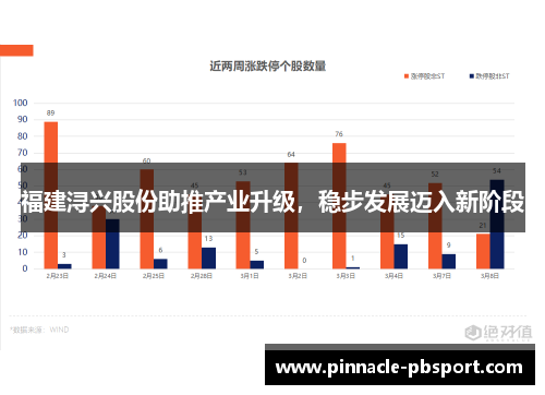 福建浔兴股份助推产业升级，稳步发展迈入新阶段