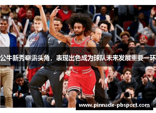 公牛新秀崭露头角，表现出色成为球队未来发展重要一环